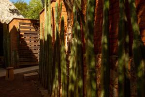 Punta Cometa House, Mazunte