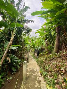Ubud florest house behind bintang supermarket ubud