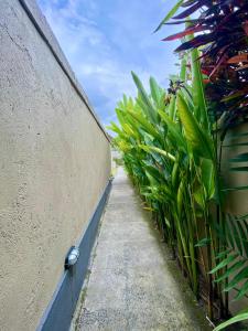 Ubud florest house behind bintang supermarket ubud