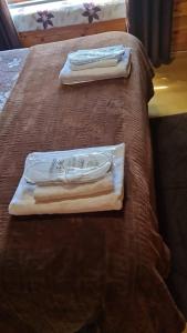 Cabaña Casa Victoria con Bosque,Río & Starlink Internet