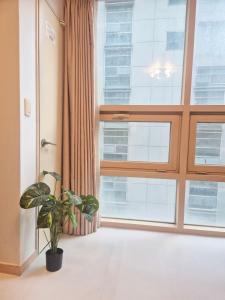 Laflee stay #Gangnam #Coex