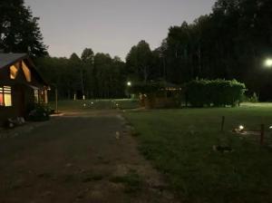 Cabaña Victoria -Español & English- Naturaleza, Río, Bosque, Starlink Wifi