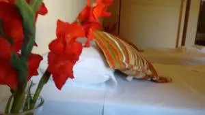 Pousada Jambo - 托兰克索