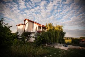 Pension Pensiunea 4 Salcii Băltenii de Sus Roumanie