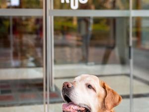 Ibis Barcelona Castelldefels