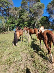 Peaceful off-grid stay surrounded by nature