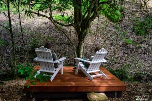 Peaceful off-grid stay surrounded by nature