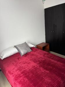 Comfortable apartment in South Quito
