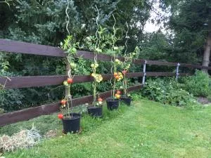 Apartment Liberec Stříbrný Kopec - Nová Ves