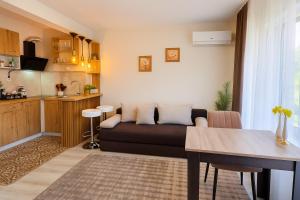 YaVis Central Apartment