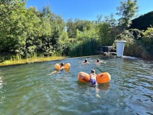 Alpaca Kot by tinykot