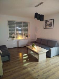 Apartament w Centrum Malborka