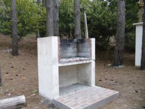 Patagonia Playa Bosque