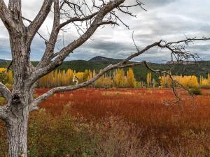 Cabañas Llano de los Conejos