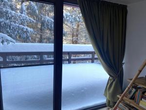 Mountain Chalet - Cabana la Muntele Baisorii