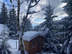 Mountain Chalet - Cabana la Muntele Baisorii