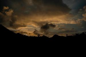 Rainforest field view resort