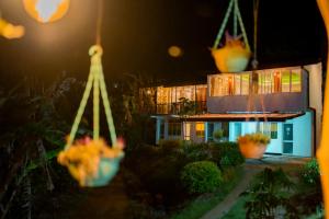 Rainforest field view resort