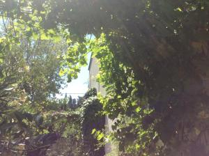 Appartements La Roseraie Camarguaise : photos des chambres