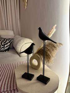 شقة حديثة وعصرية