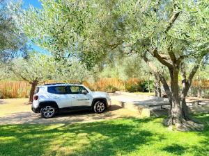 Breezy Garden Hideaway in Pula, Private Garden img38