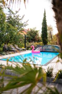 Boutique Villa Vanilla