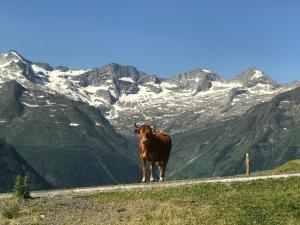 PRINCESSE DES NEIGES