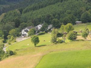 Dümpelhof Ferienwohnungen