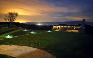 Vineyard cottage Pri mali luži