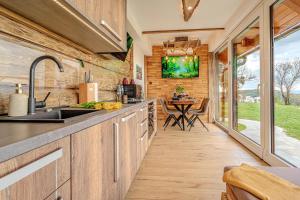 Vineyard cottage Pri mali luži