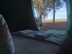 Raapfontein Self-Catering and Camping