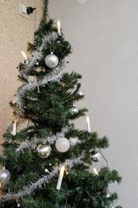 Arctos City Suite By Lapland Host