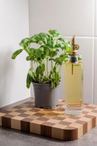 Arctos City Suite By Lapland Host