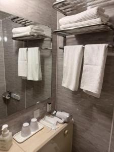 Hotel Tetora Spirit Sapporo - Vacation STAY 59365v