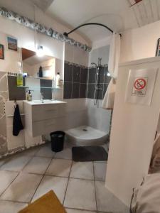 Studio privatif avec jardin