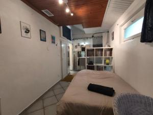 Studio privatif avec jardin