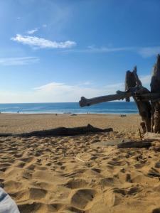 Appartement Lac marin