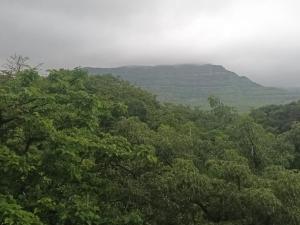 Girijalsrushti Mountain Stream View Villa