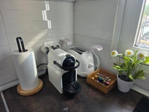 Palm Breeze - Las Americas