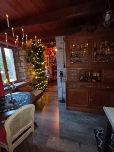 La Pensine du célèbre sorcier