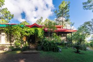 ama stays & Trails - 7 Pines, Kasauli