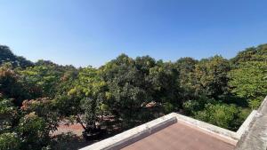 Krishna Farm