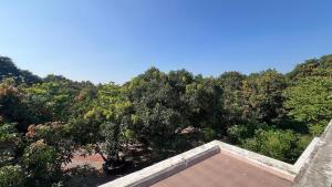 Krishna Farm