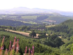Hobby Stable Cottage