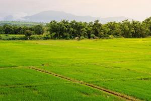 KYP Hotel โรงแรมขุนยูวเพลส