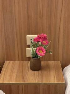 Pyramids Top view inn