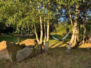 Malá jurta na Souvrati