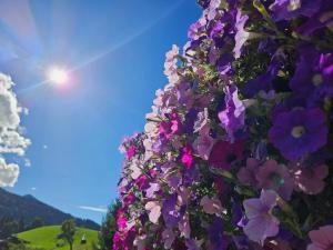 Ferienwohnung Rotache