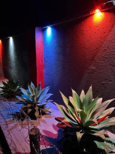 Lakeboutiquehotel empire new