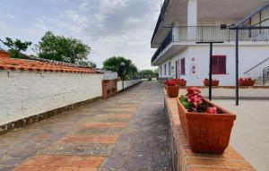 Beautiful Apartment In Casal Velino